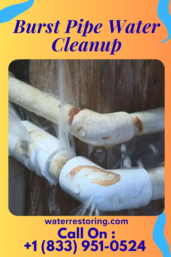 Burst Pipe Water Cleanup in Aberdeen, MS