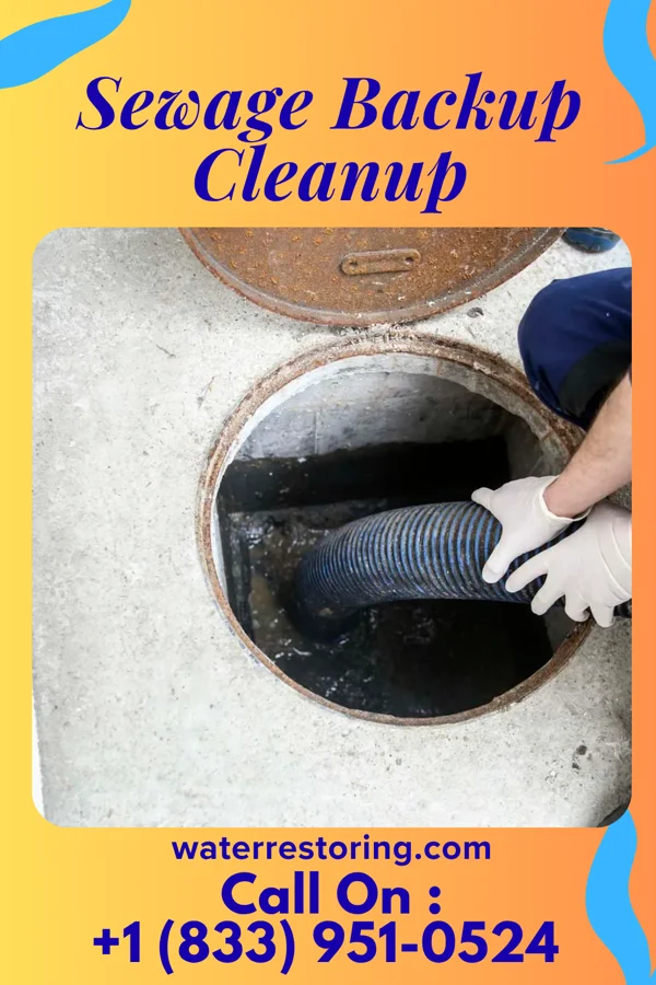 Sewage Backup Cleanup in Aberdeen, MS