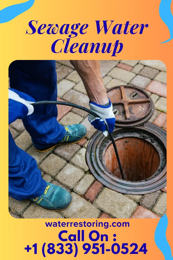 Sewage Water Cleanup in Aberdeen, MS